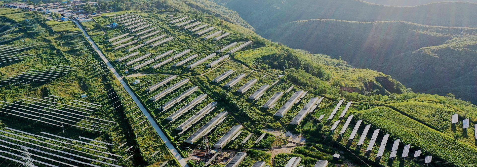 联系拼搏官方在线入口